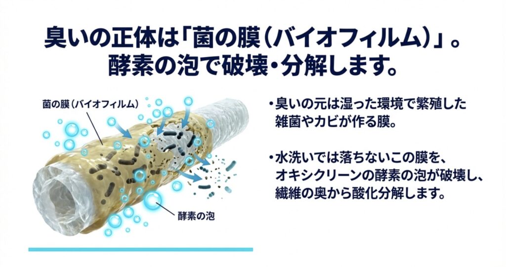 菌の膜(バイオフィルム)をオキシクリーンの酵素の泡が破壊し、繊維の奥から酸化分解している様子の断面図イラスト。