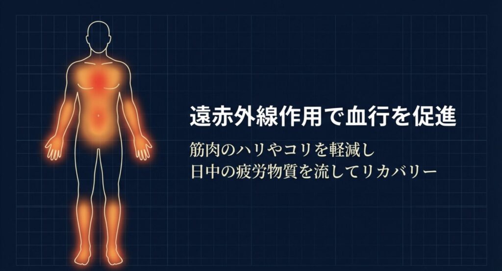 遠赤外線作用で血行を促進し、筋肉のハリやコリを軽減して疲労物質を流すリカバリーの仕組み