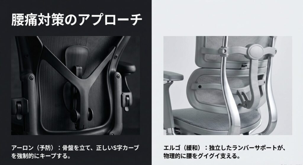 骨盤を立てるアーロンチェアのポスチャーフィットと、物理的に腰を支えるエルゴヒューマンのランバーサポートの比較画像