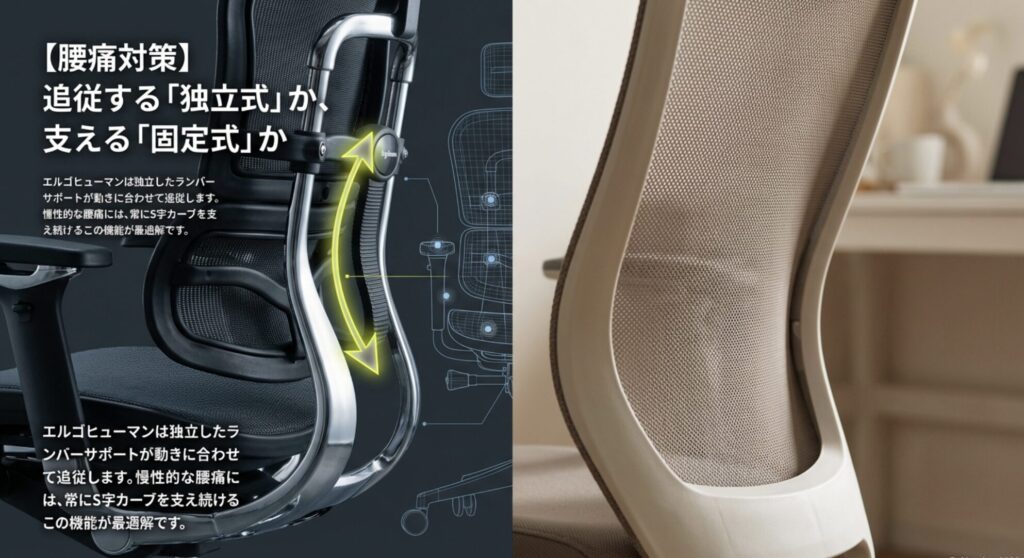 エルゴヒューマンの独立式ランバーサポートが腰の動きに追従する様子を示した図
