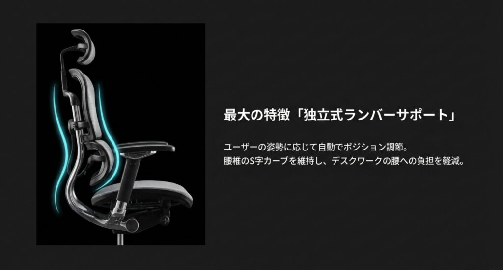 エルゴヒューマン最大の特徴である独立式ランバーサポートが、脊椎のS字カーブを維持し腰への負担を軽減する様子を示す図解スライド