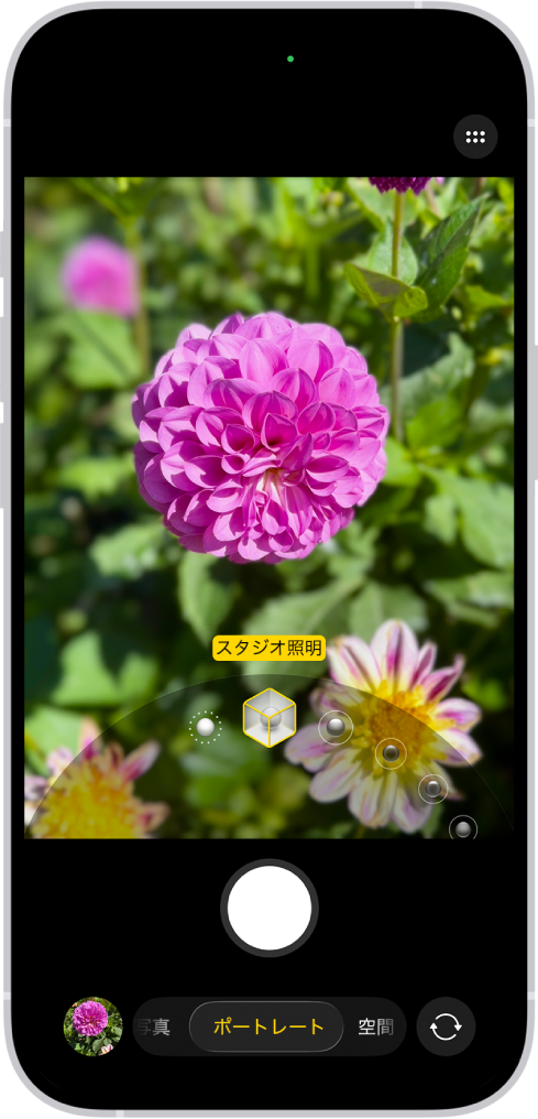 iPhoneの実際のカメラ画面
