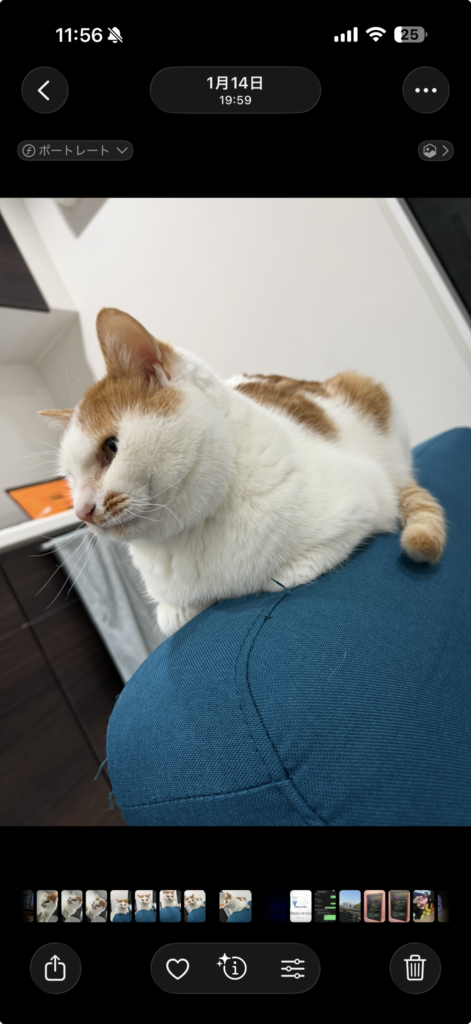 左上に「ポートレート」という画面が表記される