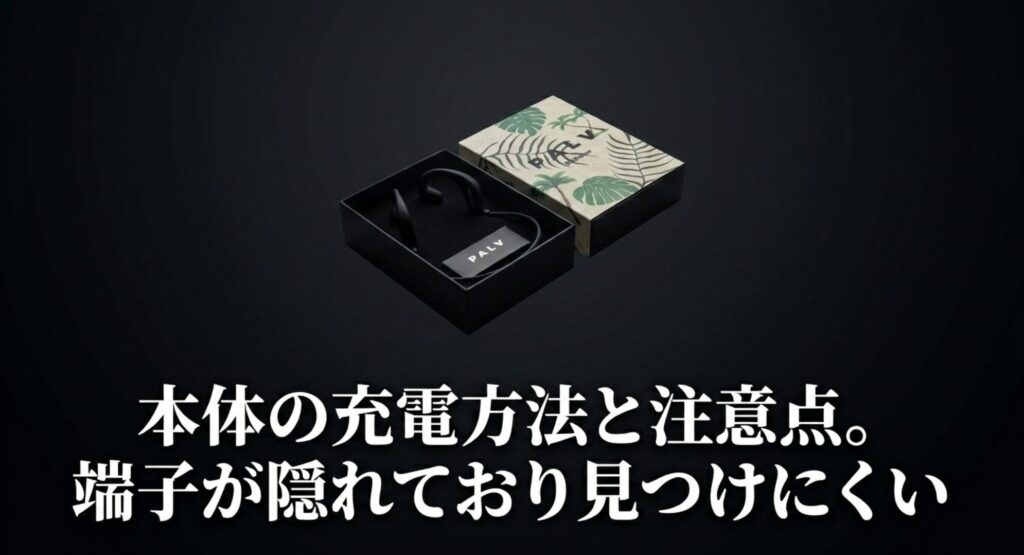 PALV本体の充電方法と注意点。USB-C端子が隠れており見つけにくいことを解説したスライド画像