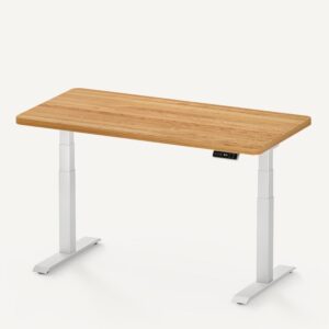 FlexiSpot E7 電動昇降デスク